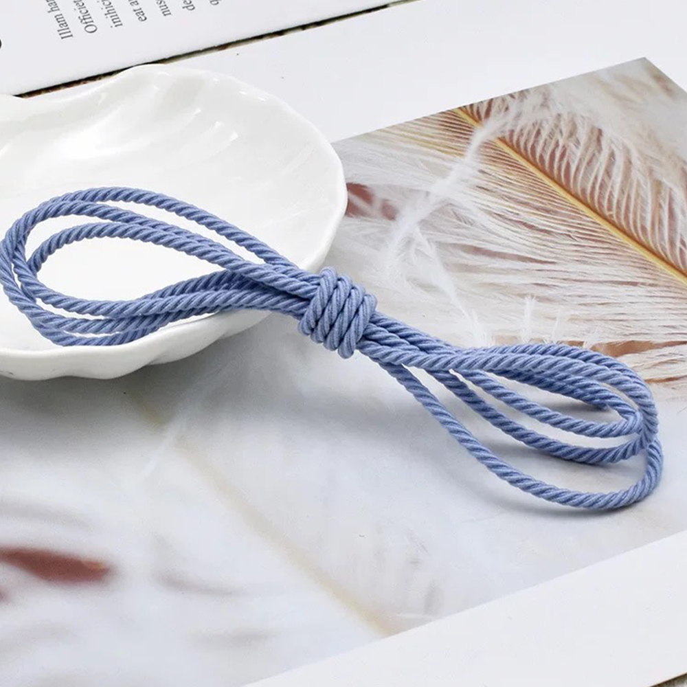 5M/Lot 2.5mm Elastic Rope Brai - đánh giá và giá Sewing Tas